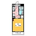 カスタリア新栄25階8.8万円