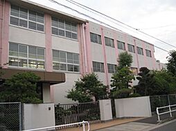 小学校「市立城西小学校まで870m」