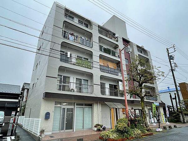 藤井ビル ｜愛知県名古屋市中村区上ノ宮町１丁目(賃貸マンション2LDK・3階・46.44㎡)の写真 その3