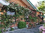 その他「コメダ珈琲店まで900m」