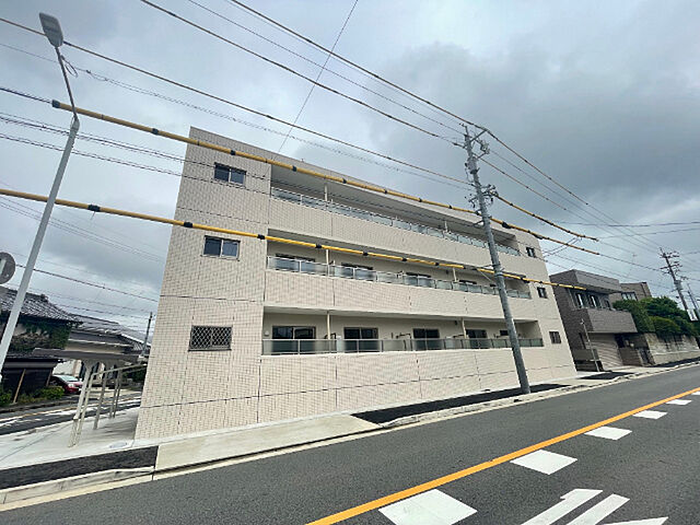 3 / 29