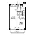 ハイライク栄ハイツ8階9.0万円
