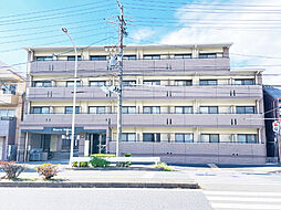 マジェスティシロトリ