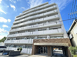 ホワイトドエル道徳