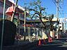 周辺：幼稚園、保育園「惟信保育園まで480m」