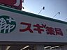 周辺：ドラッグストア 「スギ薬局まで760m」