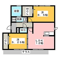アコルト・シェーン