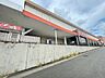 周辺：スーパー「ピアゴ植田店まで519m」