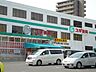 周辺：ドラッグストア 「スギ薬局まで430m」