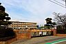 周辺：小学校「市立小信中島小学校まで290m」