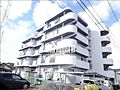 サンシティー日名