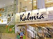 ショッピング施設「カルミアまで730m」