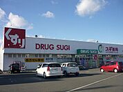 ドラッグストア 「スギ薬局まで1100m」