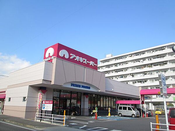 真宮ハイツ ｜愛知県岡崎市真宮町(賃貸マンション2LDK・1階・57.00㎡)の写真 その25