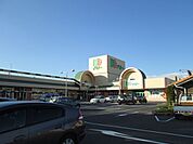 スーパー「ドミーまで900m」