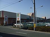 スーパー「ドミーまで330m」