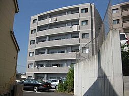 クオリア