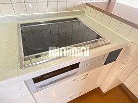 アルス住吉  ｜ 愛知県半田市宮路町（賃貸マンション2LDK・7階・71.68㎡） その18