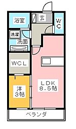 Cleyera青山