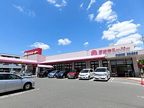 メゾンユーラップ  ｜ 愛知県春日井市朝宮町２丁目（賃貸マンション1LDK・2階・45.24㎡） その17