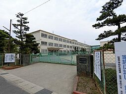 カーム香雅
