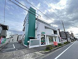 パインアネックス