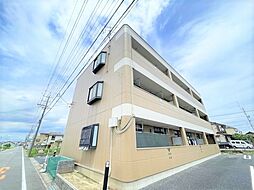 ハーベストコート