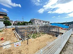 コリーナ　ルミノーザ