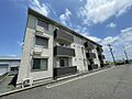 ステラ　みよし