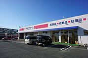 ドラッグストア 「ココカラファイン千歳店まで500m」