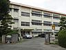 周辺：小学校「豊川市立桜木小学校まで590m」