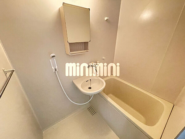 画像8:鏡のあるバスルーム