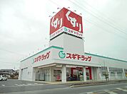 ドラッグストア 「スギ薬局まで2900m」