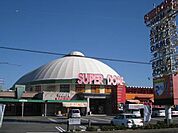 その他「スーパードームまで1300m」