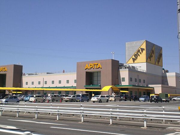 画像24:ショッピング施設「アピタ東海荒尾店まで1100m」