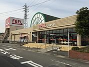 スーパー「フィールキャンパスまで1347m」