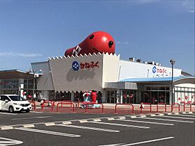 ラフィネ鯉江本町  ｜ 愛知県常滑市鯉江本町１丁目（賃貸マンション1K・1階・28.56㎡） その28