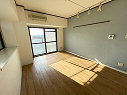 フロイデミーツV