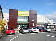 ショッピング施設「アピタまで550m」