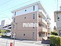 エバーグリーンII