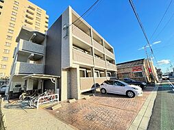 シンシア寿