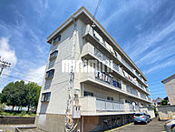 静岡県静岡市清水区村松原1丁目：物件画像／株式会社ミニミニ静岡　清水店