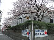 幼稚園、保育園「清水聖母保育園まで520m」