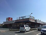スーパー「遠鉄ストア篠原店まで1447m」