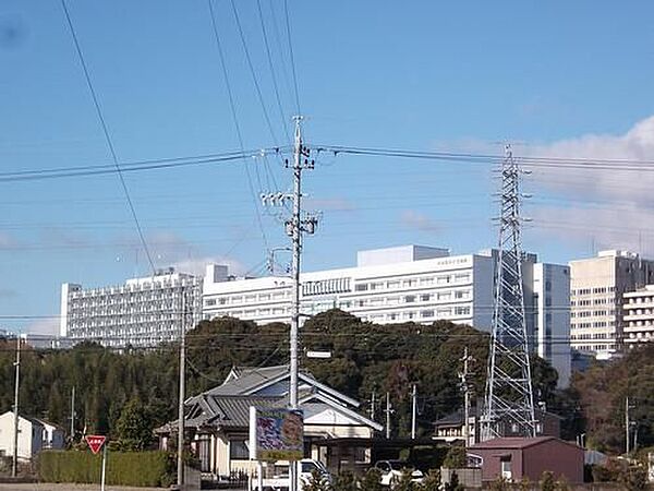 画像14:大学「浜松医科大学まで520m」
