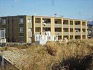 静岡県沼津市青野：物件画像／株式会社ミニミニ静岡　沼津店