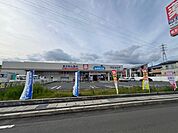 ドラッグストア 「ウエルシア沼津鳥谷店まで386m」