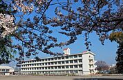 小学校「市立青島東小学校まで980m」