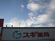 ドラッグストア 「スギ薬局袋井堀越店まで1200m」