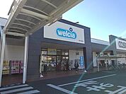 ドラッグストア 「ウエルシア富士中央店まで751m」